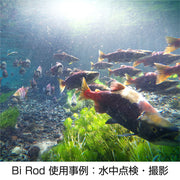 Bi Rod 使用事例：水中点検・撮影