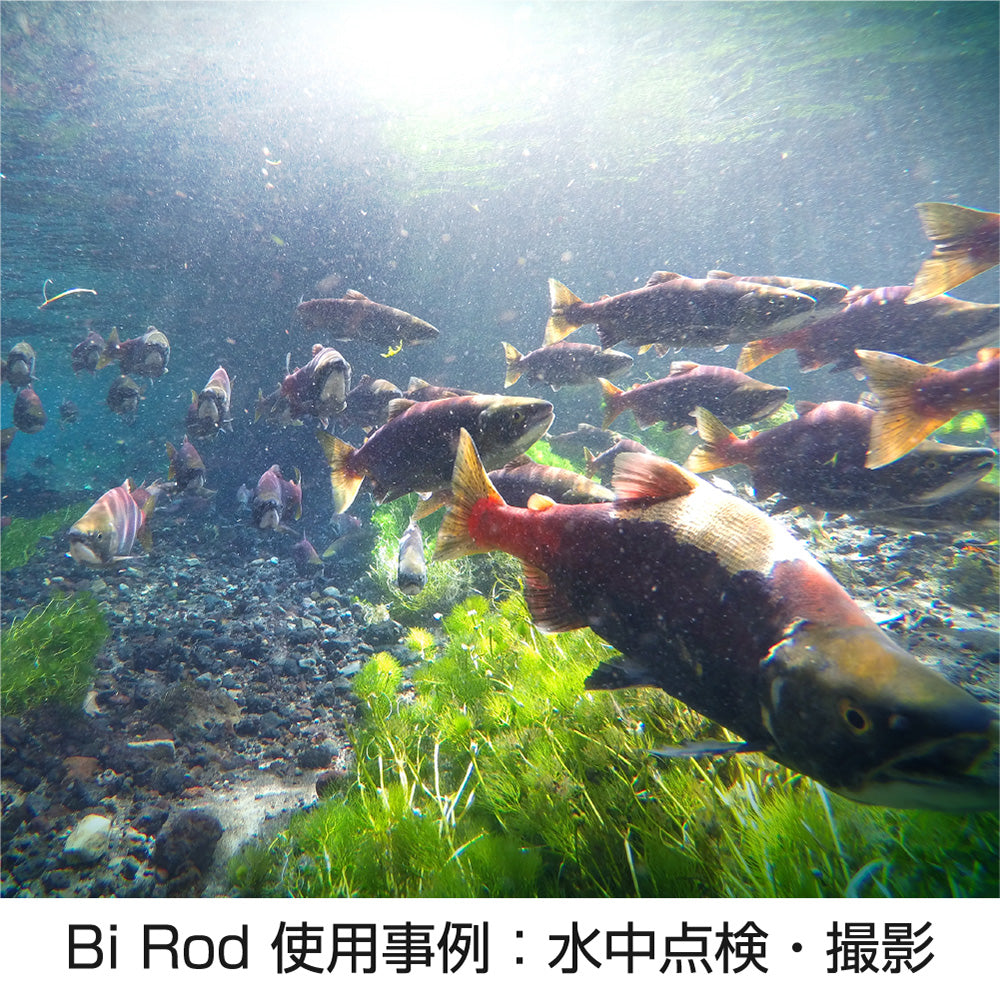 Bi Rod 使用事例：水中点検・撮影