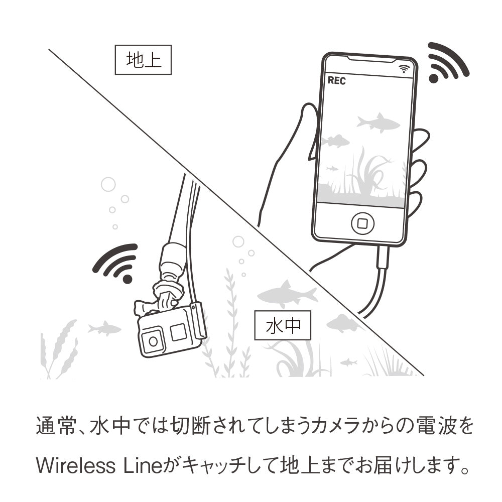 0929様専用ページ - 洗顔料